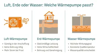 Bild infografik-wp-arten-vergleich.webp